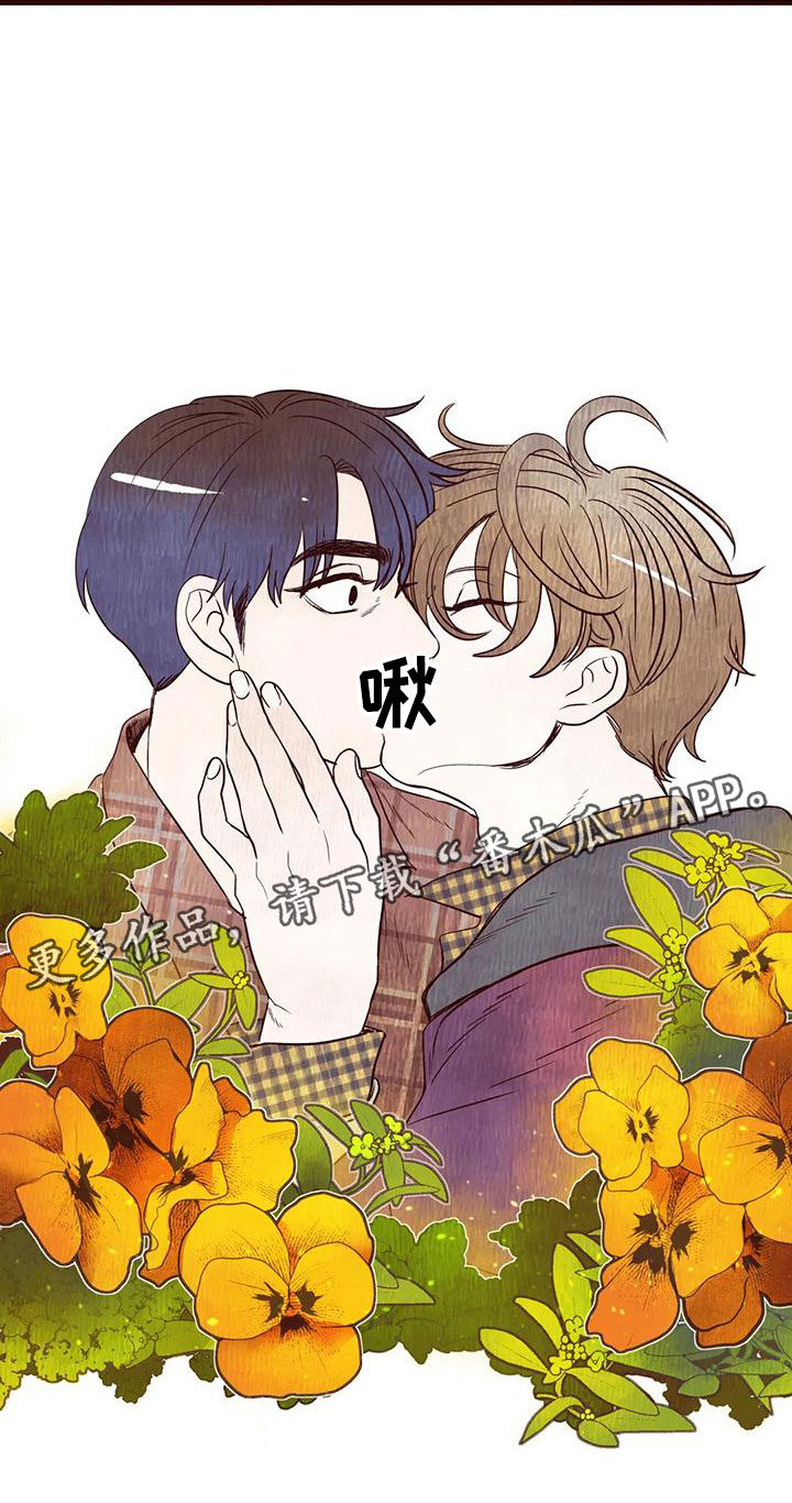 《我的十二位哥哥》漫画最新章节第19章：幻灭免费下拉式在线观看章节第【1】张图片