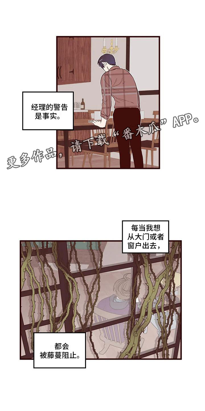 《我的十二位哥哥》漫画最新章节第19章：幻灭免费下拉式在线观看章节第【16】张图片