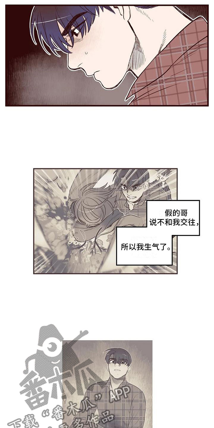 《我的十二位哥哥》漫画最新章节第19章：幻灭免费下拉式在线观看章节第【13】张图片