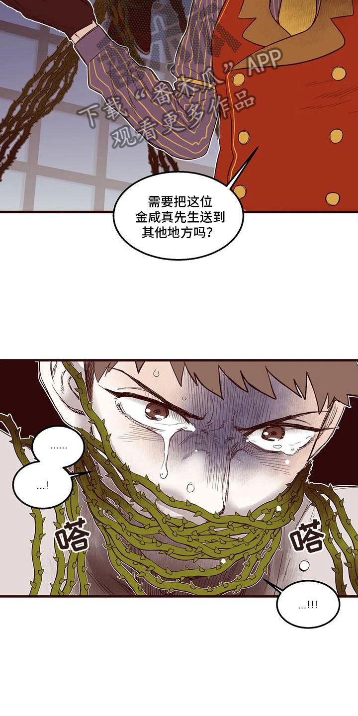 《我的十二位哥哥》漫画最新章节第31章：他的计划免费下拉式在线观看章节第【7】张图片