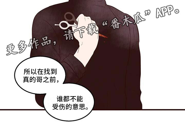 《我的十二位哥哥》漫画最新章节第31章：他的计划免费下拉式在线观看章节第【1】张图片