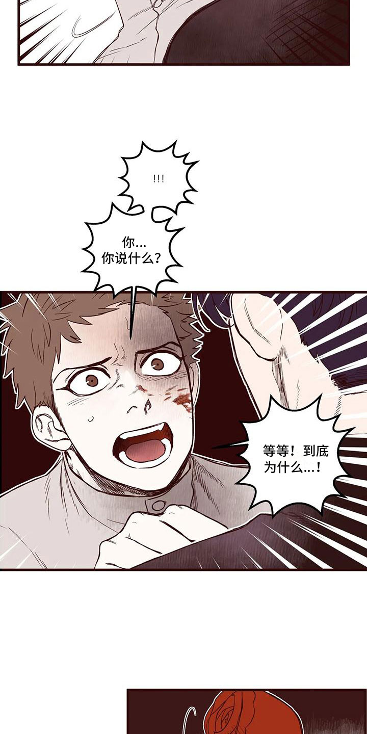 《我的十二位哥哥》漫画最新章节第31章：他的计划免费下拉式在线观看章节第【14】张图片