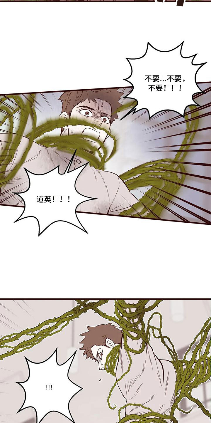 《我的十二位哥哥》漫画最新章节第31章：他的计划免费下拉式在线观看章节第【12】张图片