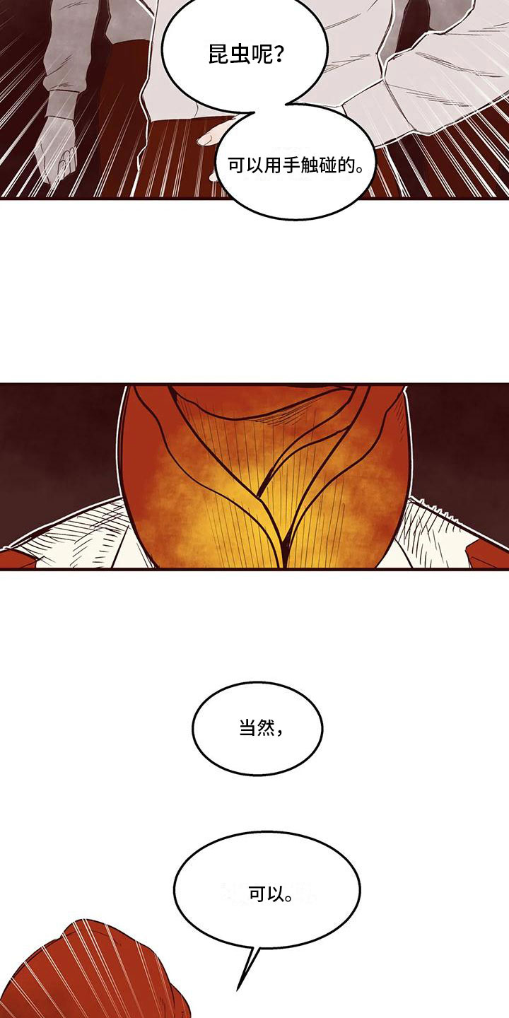 《我的十二位哥哥》漫画最新章节第42章：挑拨离间免费下拉式在线观看章节第【13】张图片