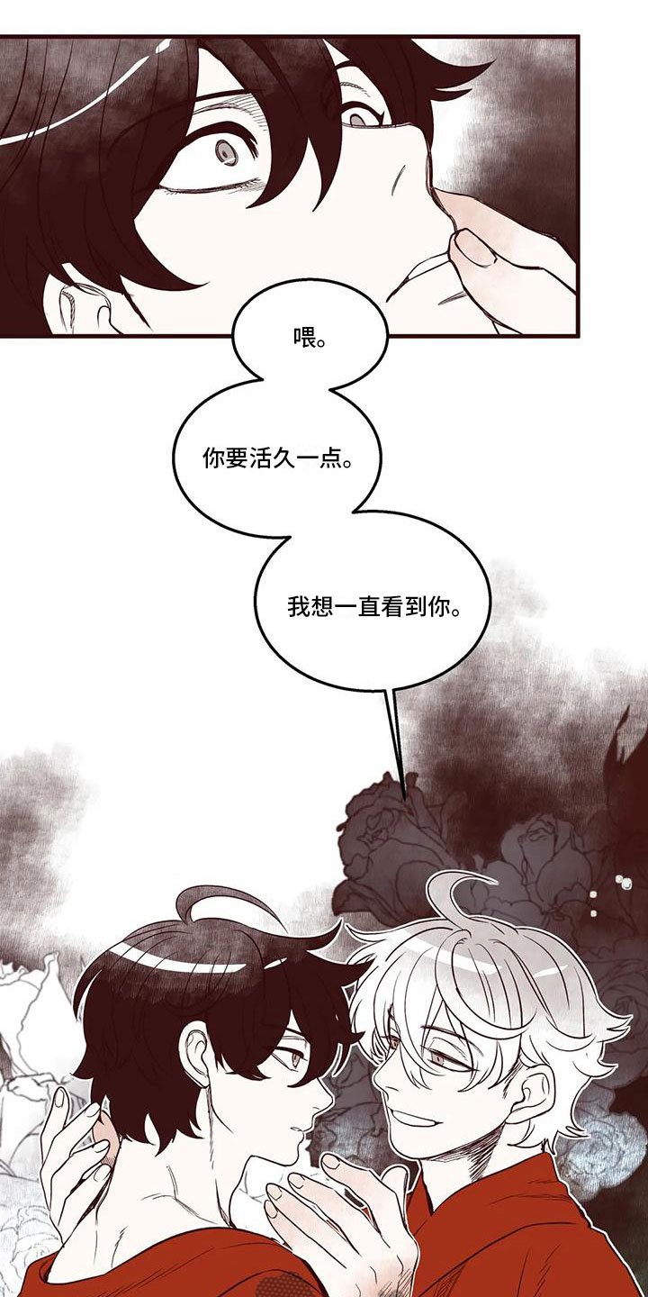 《我的十二位哥哥》漫画最新章节第48章：我的天堂免费下拉式在线观看章节第【14】张图片