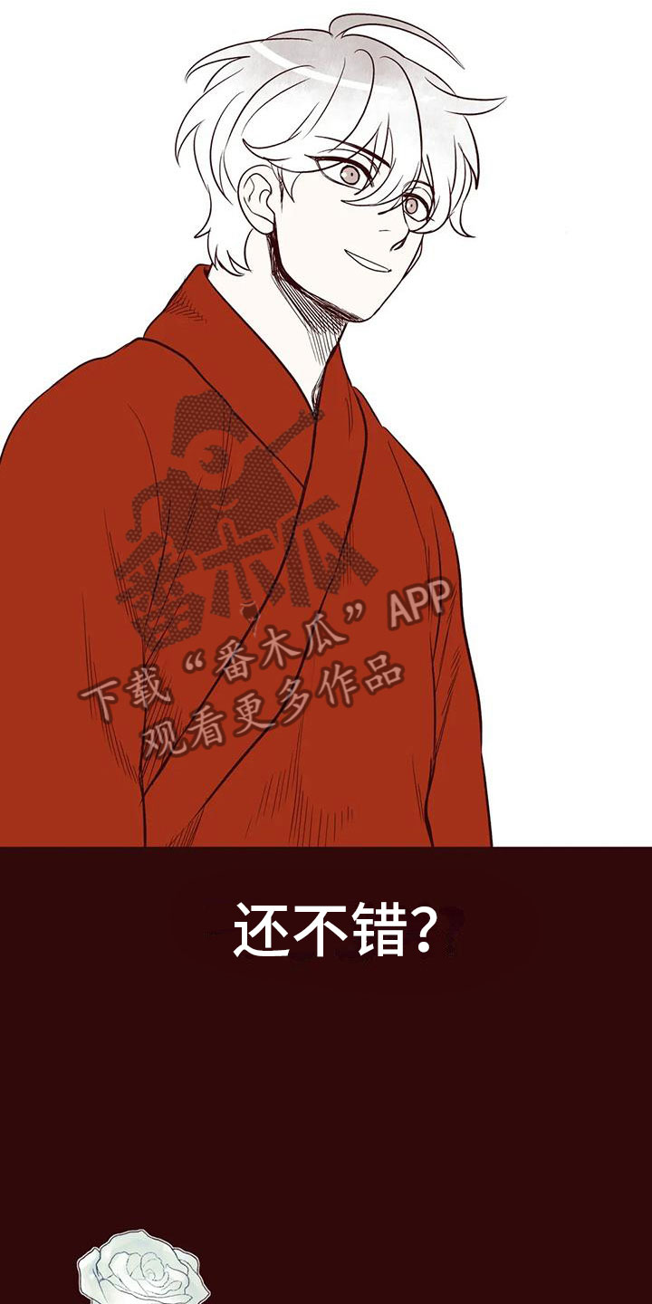 《我的十二位哥哥》漫画最新章节第48章：我的天堂免费下拉式在线观看章节第【4】张图片