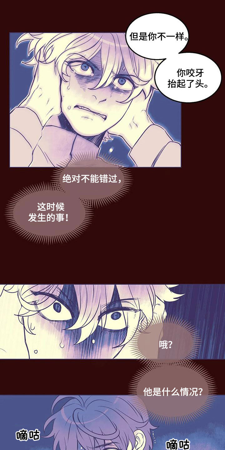 《我的十二位哥哥》漫画最新章节第51章：找人免费下拉式在线观看章节第【16】张图片