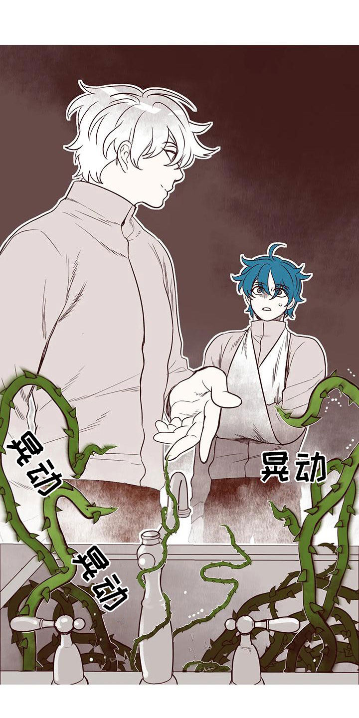 《我的十二位哥哥》漫画最新章节第51章：找人免费下拉式在线观看章节第【9】张图片