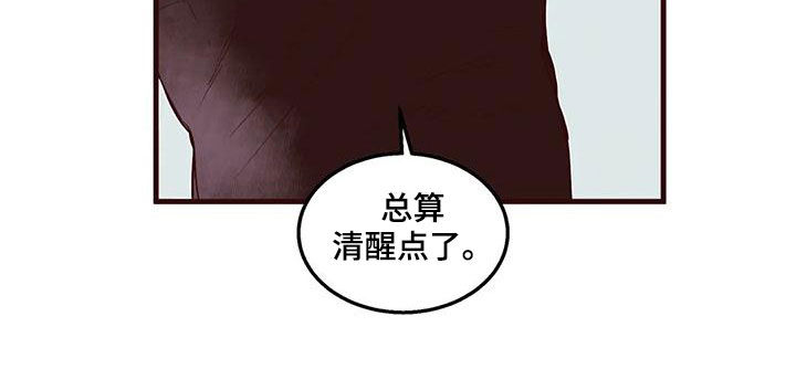 《我的十二位哥哥》漫画最新章节第52章：友军免费下拉式在线观看章节第【13】张图片