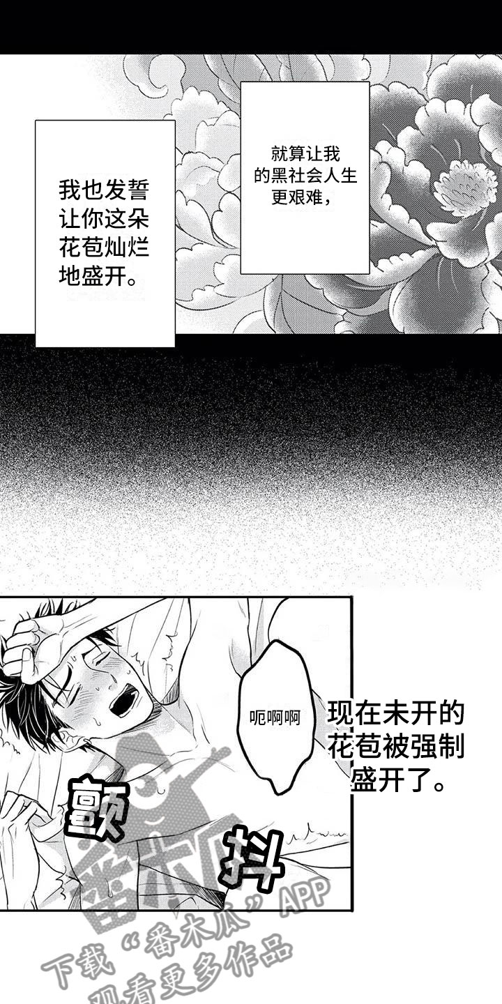 《带着少女心奔跑》漫画最新章节第18章：花苞盛开免费下拉式在线观看章节第【5】张图片