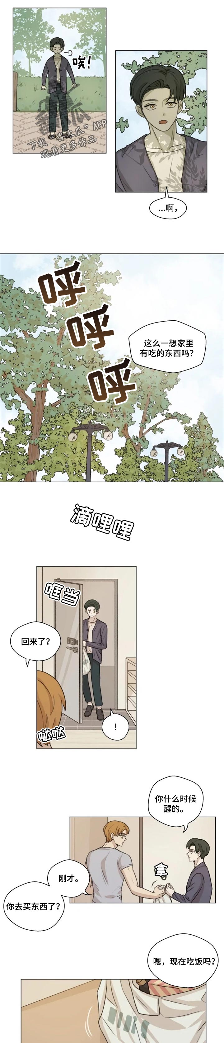 《身影重叠》漫画最新章节第19章：分量免费下拉式在线观看章节第【5】张图片