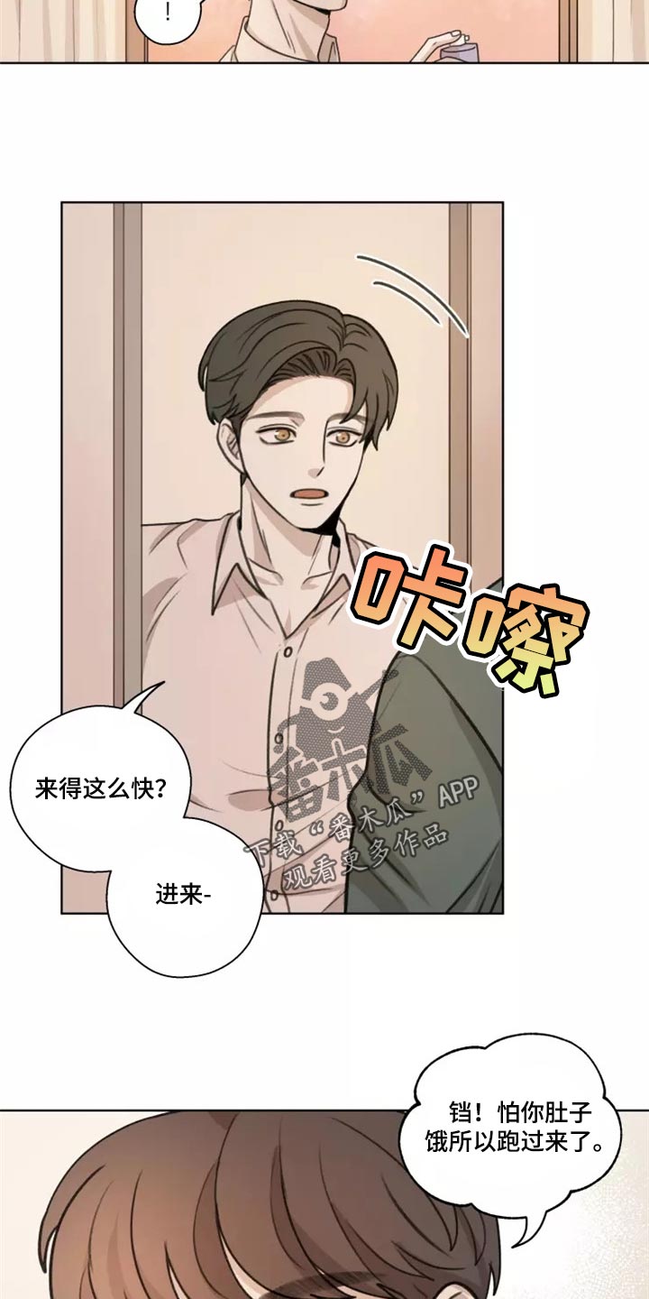 《身影重叠》漫画最新章节第39章：【第二季】悲伤免费下拉式在线观看章节第【13】张图片