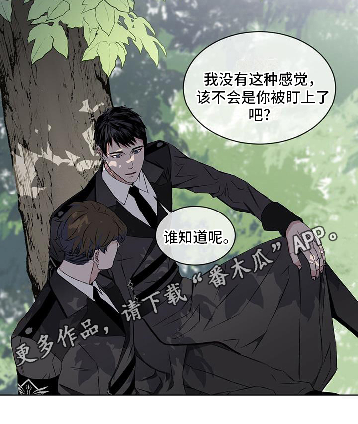 《森海之恋》漫画最新章节第5章：对视免费下拉式在线观看章节第【1】张图片