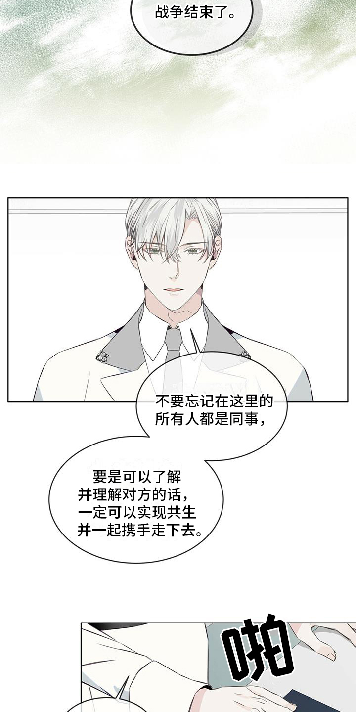 《森海之恋》漫画最新章节第5章：对视免费下拉式在线观看章节第【11】张图片