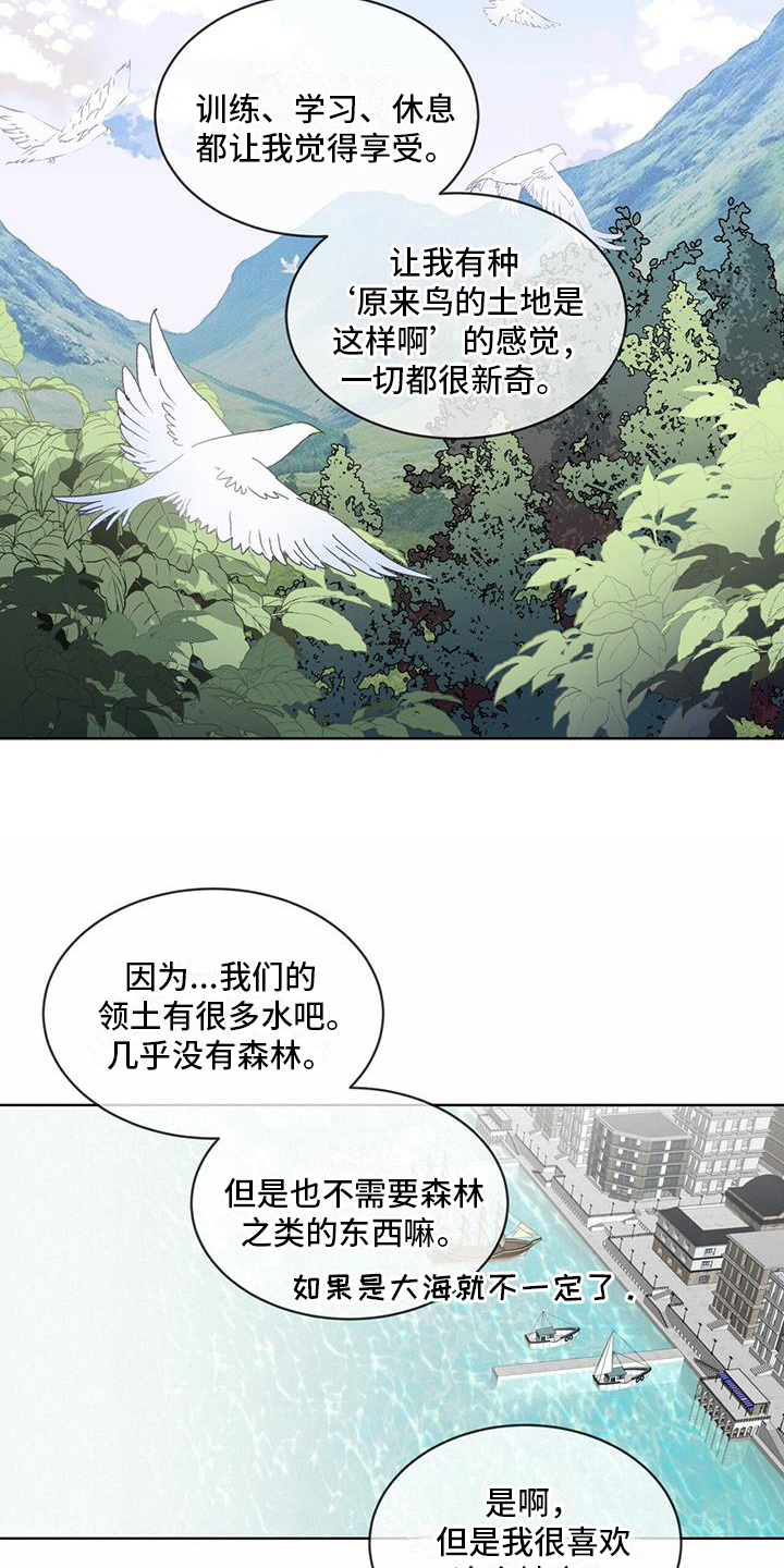 《森海之恋》漫画最新章节第6章：享受免费下拉式在线观看章节第【11】张图片