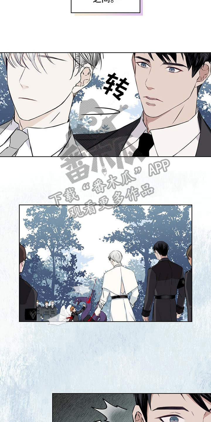 《森海之恋》漫画最新章节第7章：打架免费下拉式在线观看章节第【12】张图片