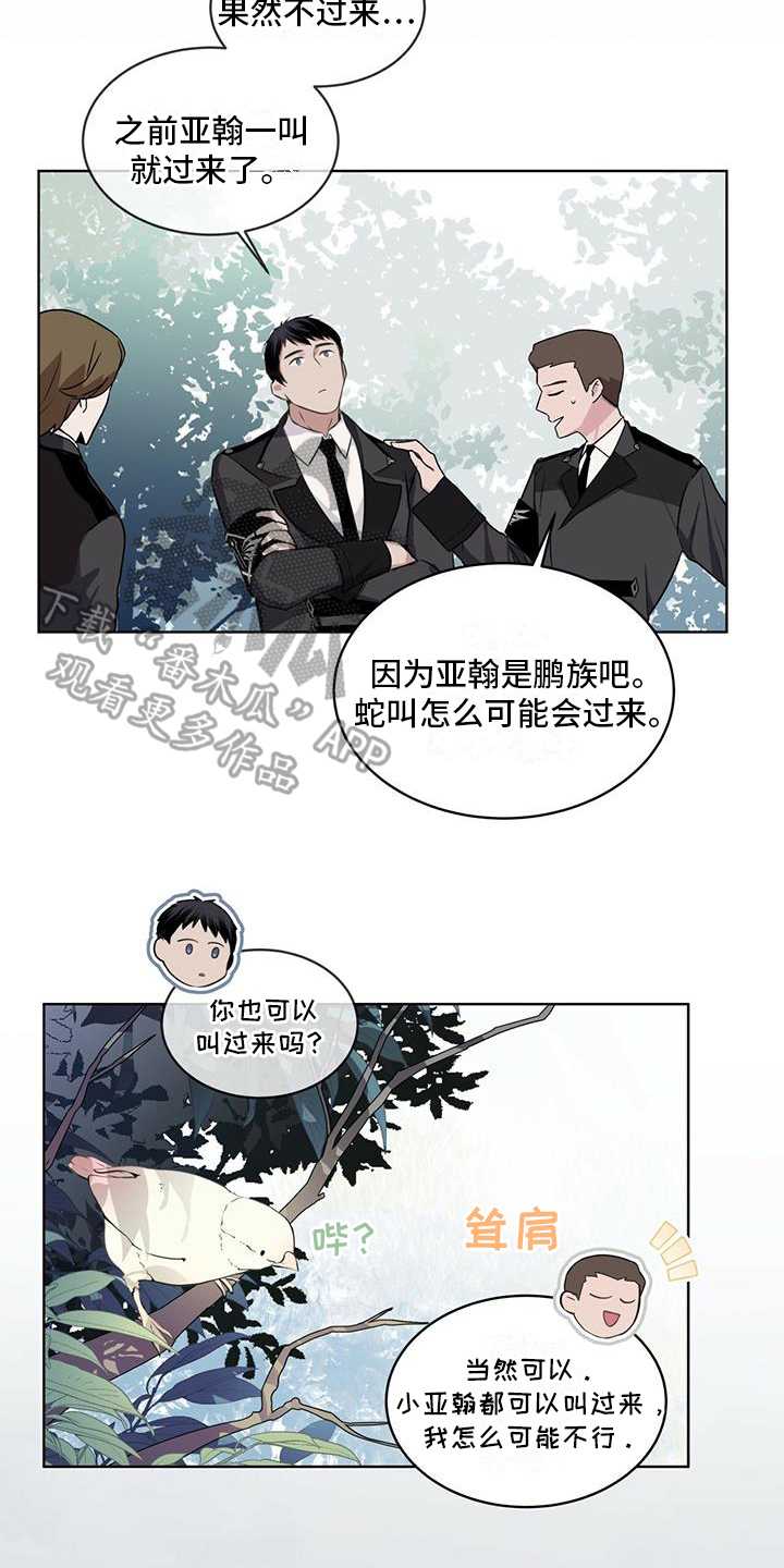 《森海之恋》漫画最新章节第10章：召唤免费下拉式在线观看章节第【6】张图片