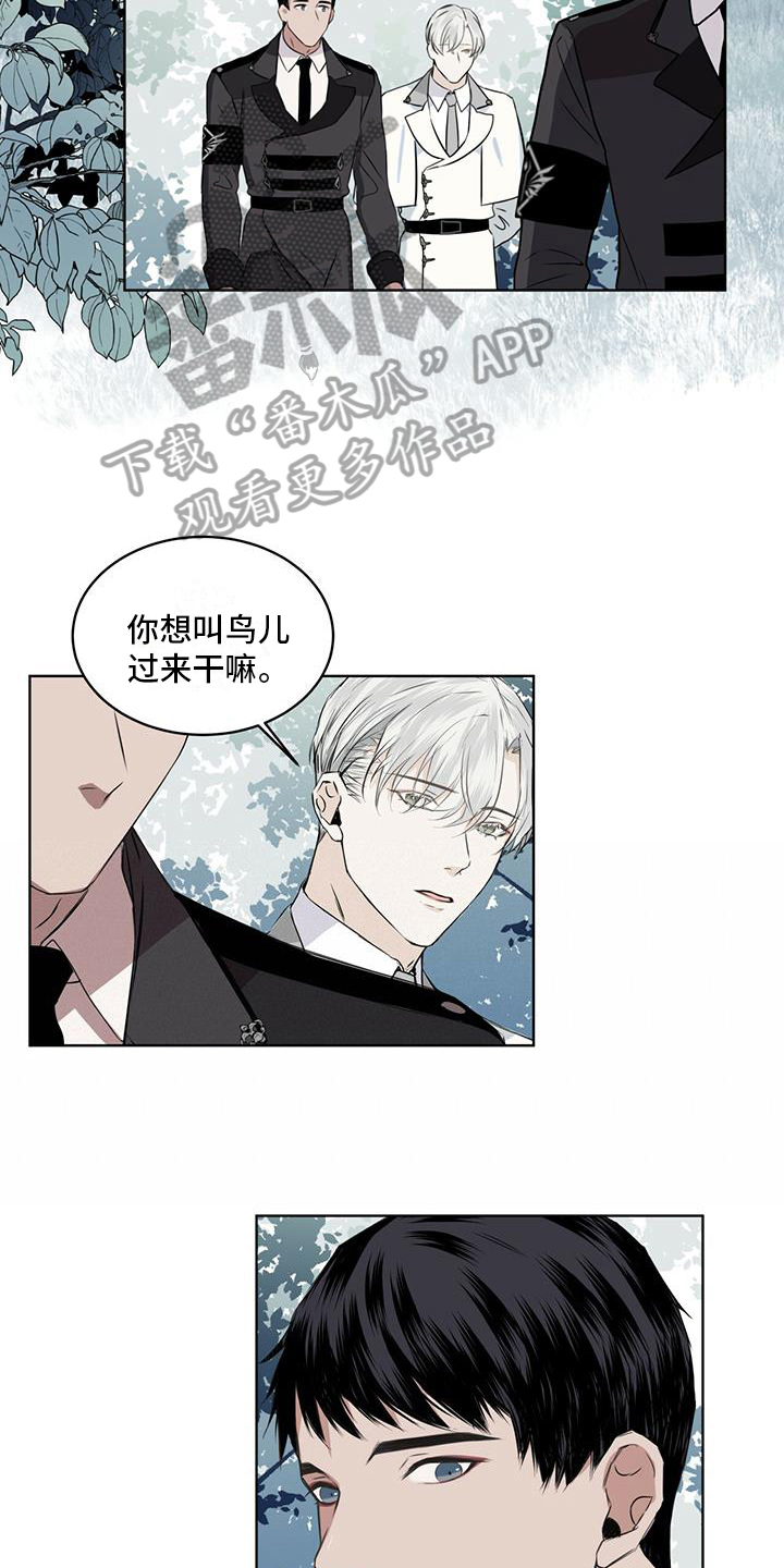 《森海之恋》漫画最新章节第11章：劝告免费下拉式在线观看章节第【17】张图片