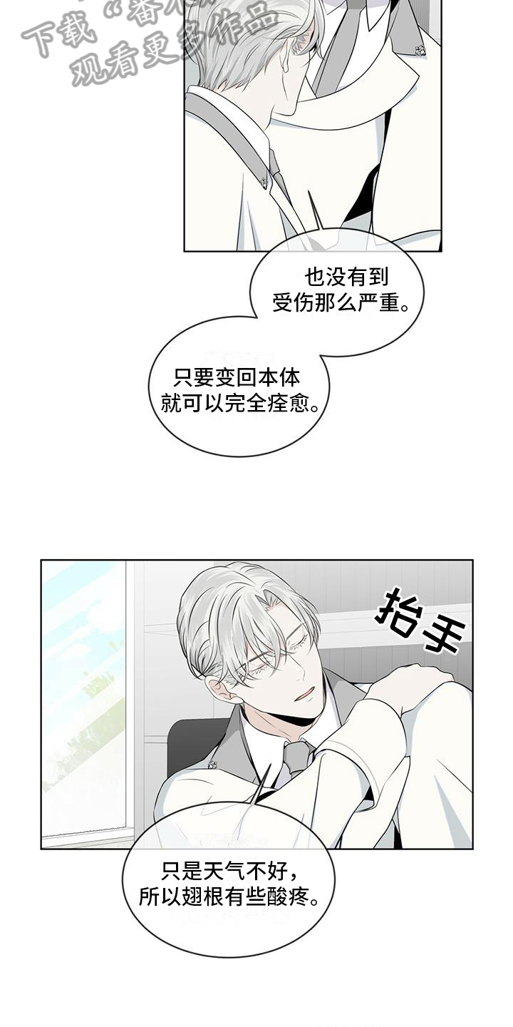 《森海之恋》漫画最新章节第12章：联系免费下拉式在线观看章节第【7】张图片