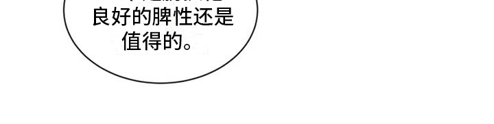 《森海之恋》漫画最新章节第12章：联系免费下拉式在线观看章节第【1】张图片