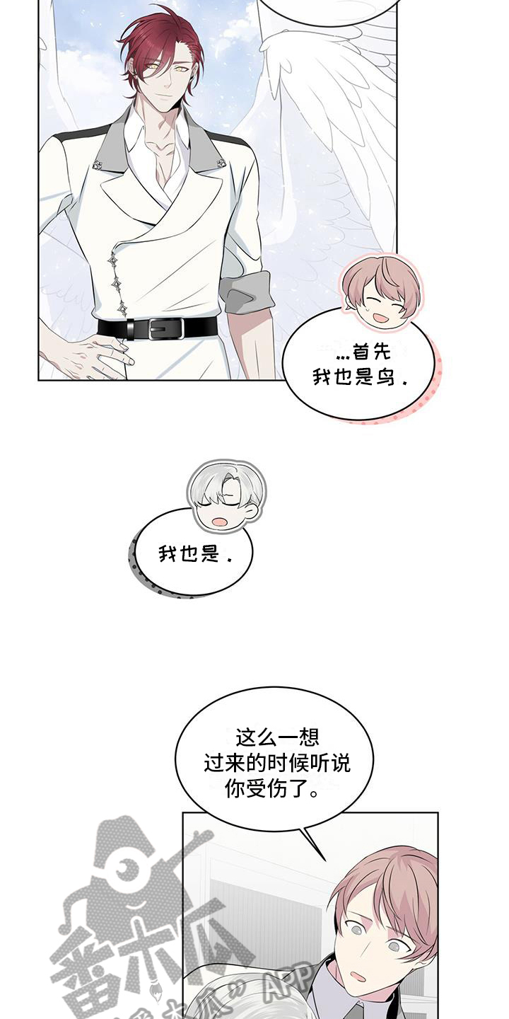 《森海之恋》漫画最新章节第12章：联系免费下拉式在线观看章节第【8】张图片