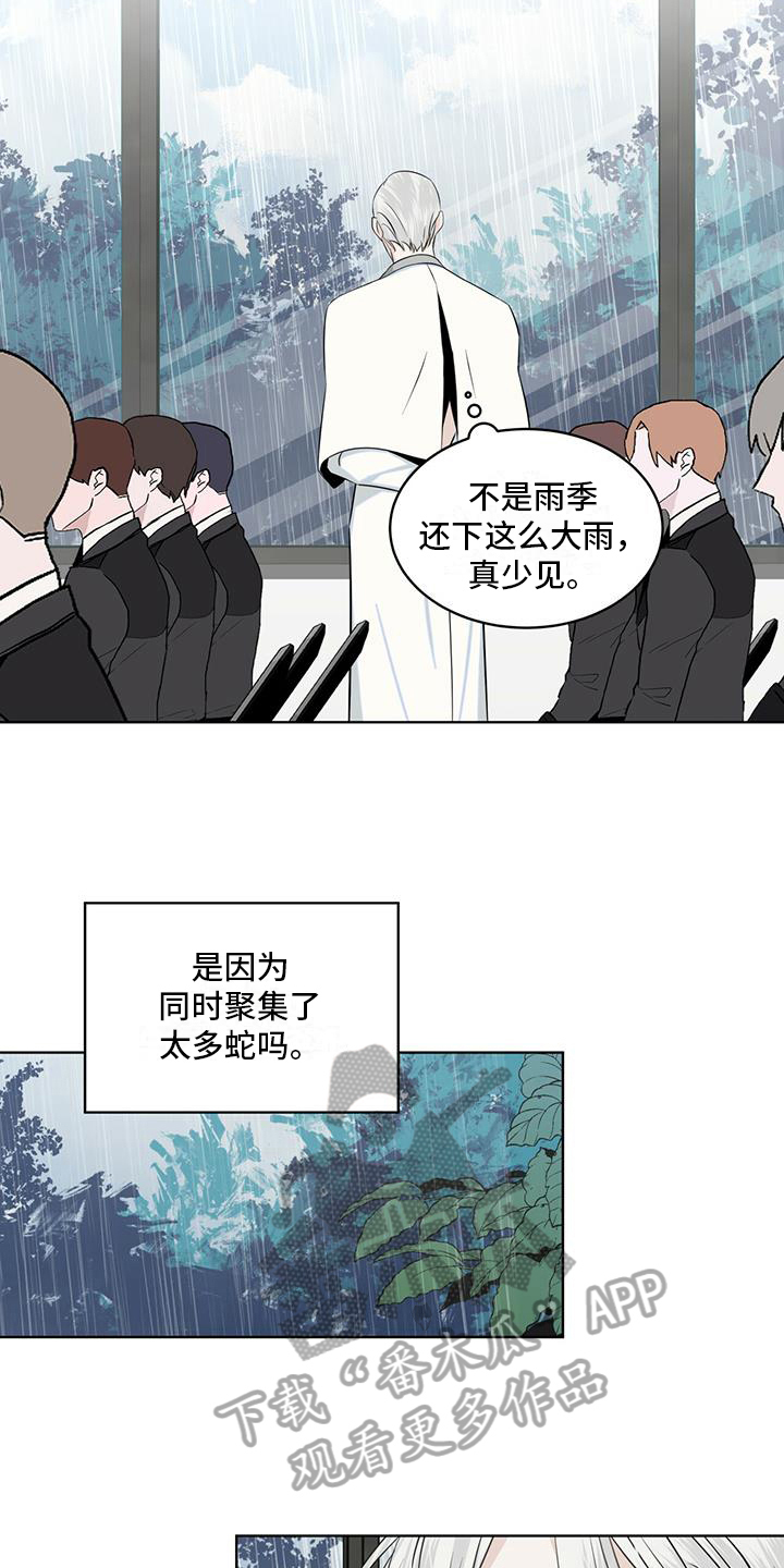 《森海之恋》漫画最新章节第13章：雨季将临免费下拉式在线观看章节第【4】张图片