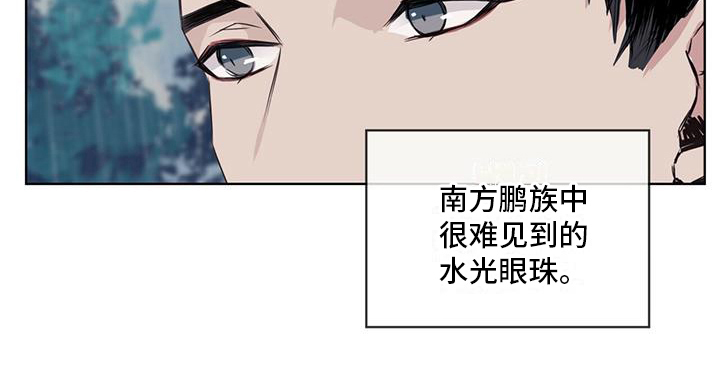 《森海之恋》漫画最新章节第13章：雨季将临免费下拉式在线观看章节第【1】张图片