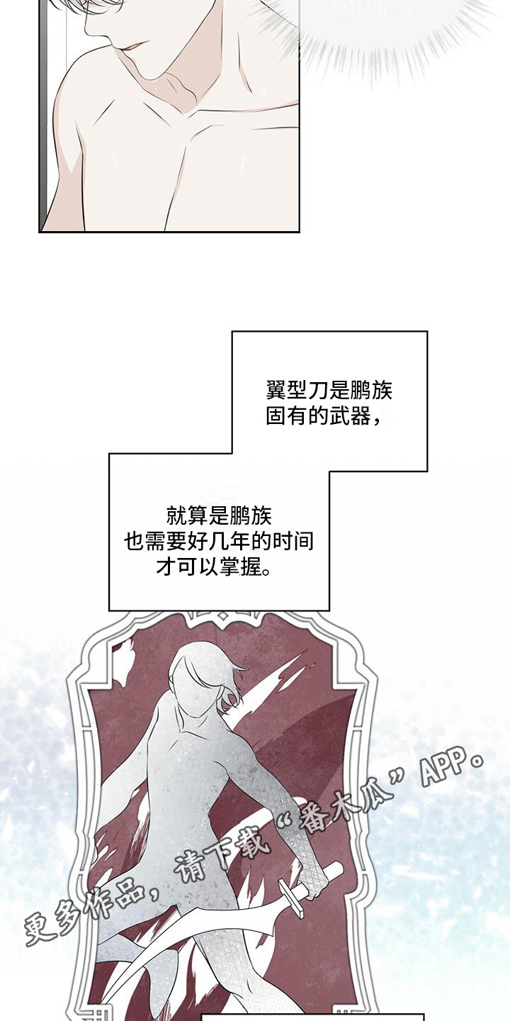 《森海之恋》漫画最新章节第14章：受伤免费下拉式在线观看章节第【2】张图片