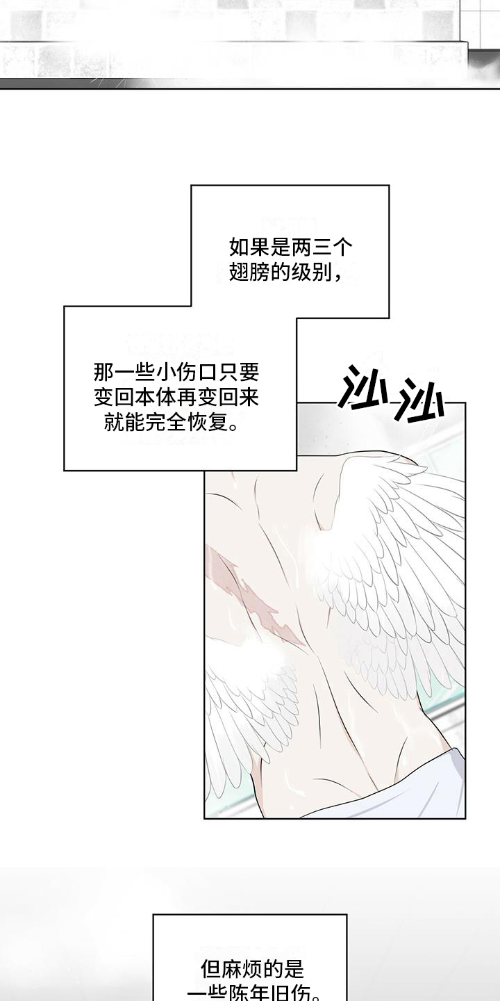 《森海之恋》漫画最新章节第14章：受伤免费下拉式在线观看章节第【12】张图片