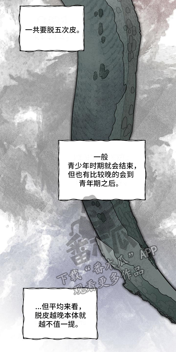 《森海之恋》漫画最新章节第15章：都知道免费下拉式在线观看章节第【15】张图片