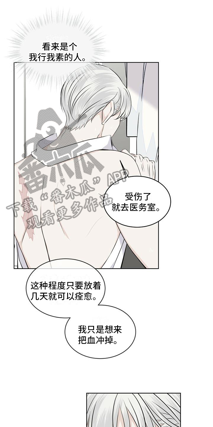 《森海之恋》漫画最新章节第15章：都知道免费下拉式在线观看章节第【20】张图片