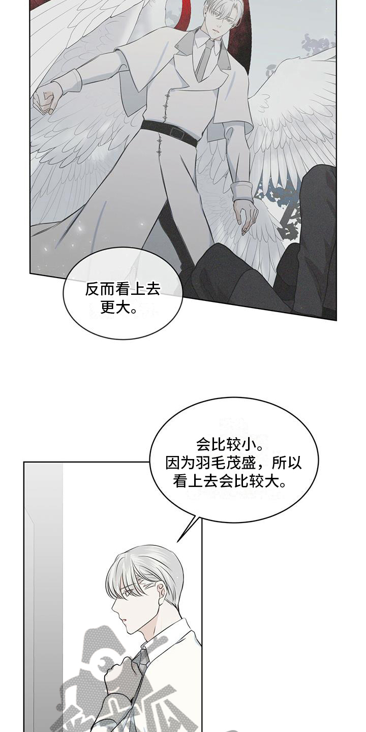 《森海之恋》漫画最新章节第15章：都知道免费下拉式在线观看章节第【8】张图片