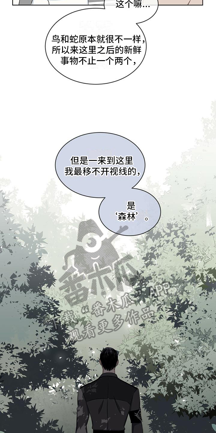 《森海之恋》漫画最新章节第16章：开心免费下拉式在线观看章节第【11】张图片