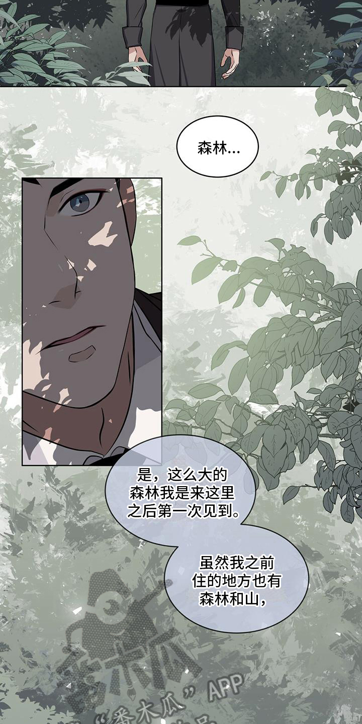 《森海之恋》漫画最新章节第16章：开心免费下拉式在线观看章节第【10】张图片