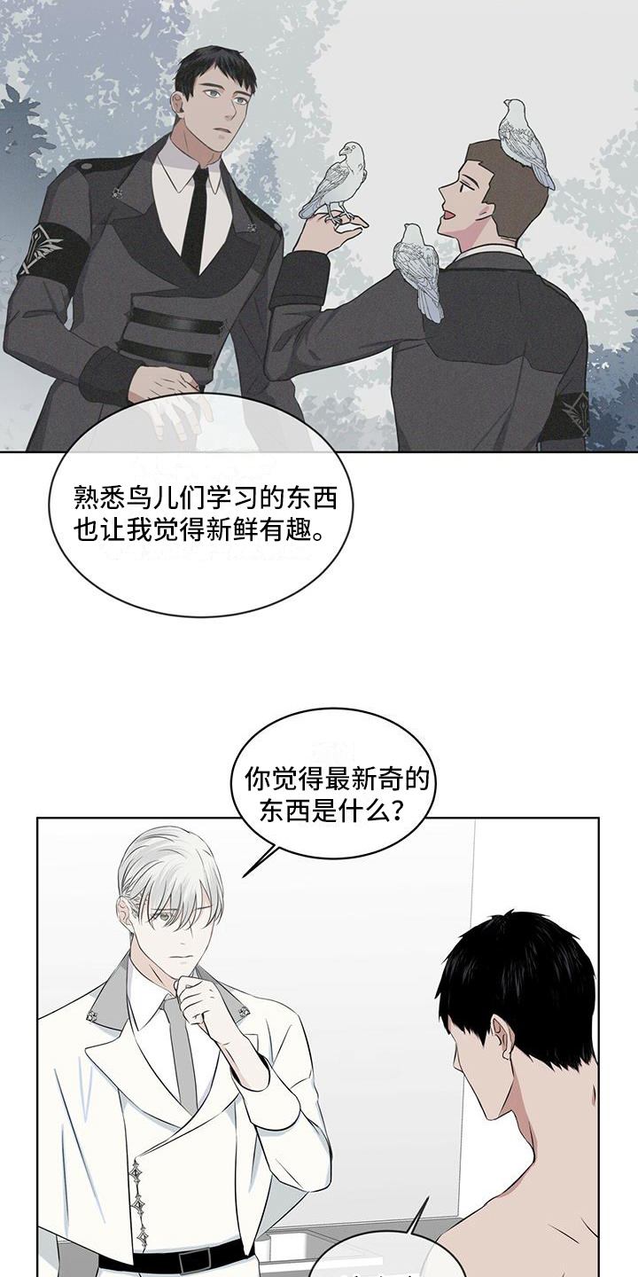 《森海之恋》漫画最新章节第16章：开心免费下拉式在线观看章节第【12】张图片