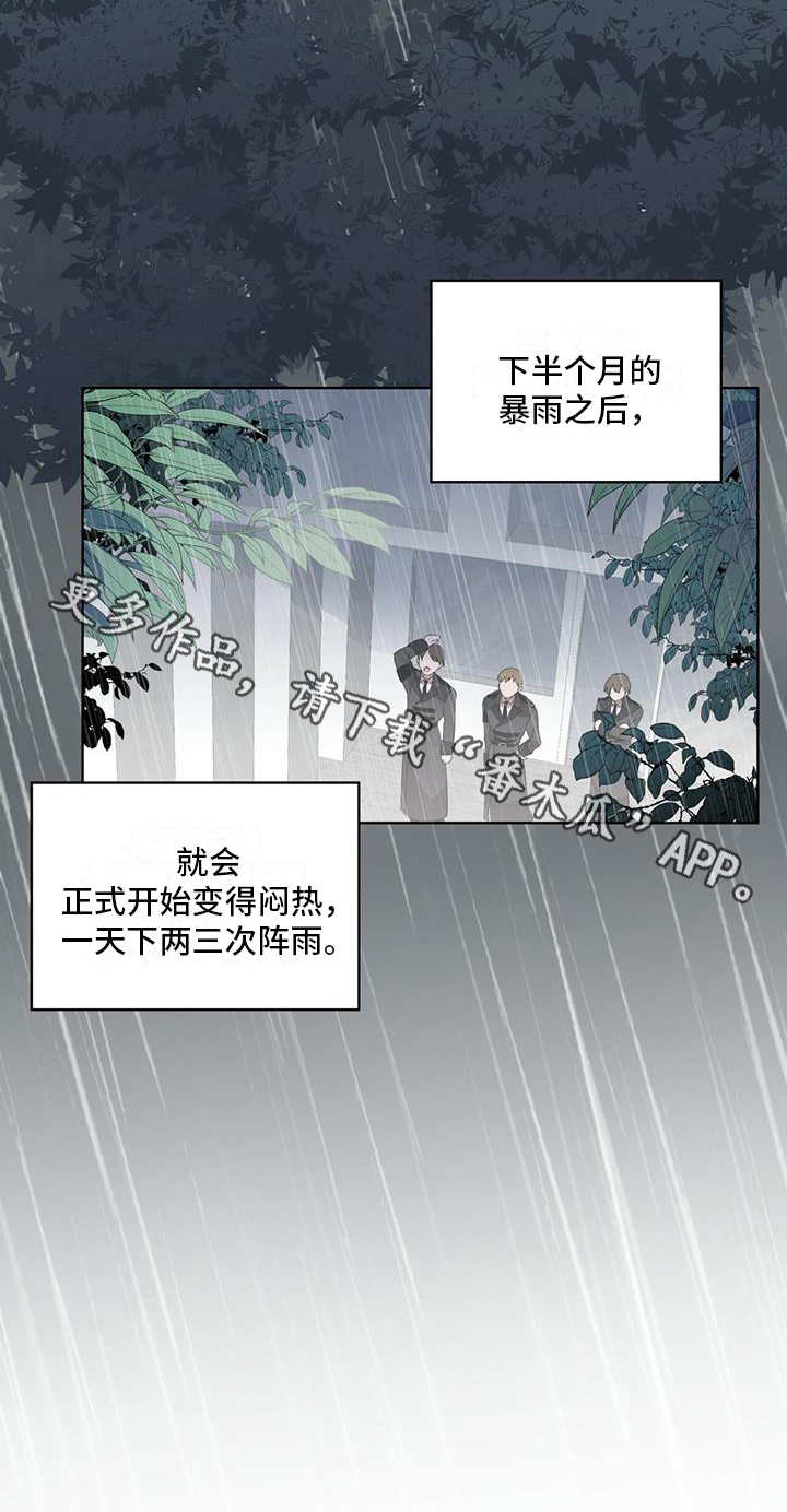 《森海之恋》漫画最新章节第17章：划清界限免费下拉式在线观看章节第【1】张图片