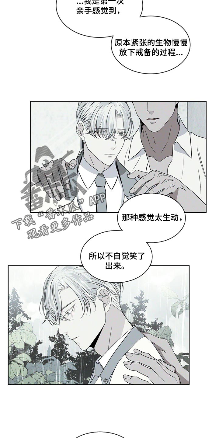 《森海之恋》漫画最新章节第22章：悲痛免费下拉式在线观看章节第【9】张图片