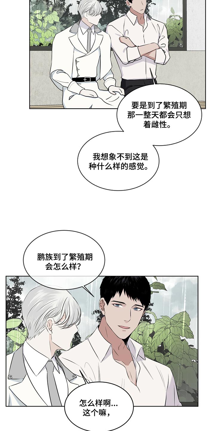 《森海之恋》漫画最新章节第23章：一首好歌免费下拉式在线观看章节第【12】张图片