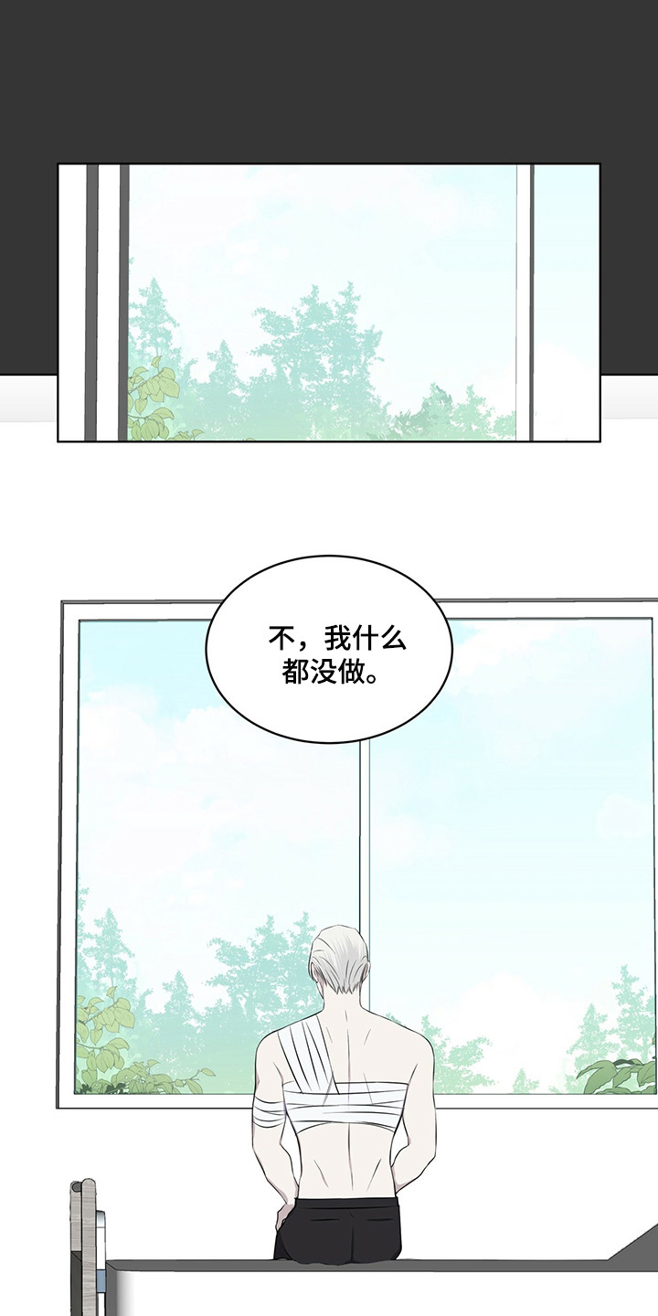 《森海之恋》漫画最新章节第27章：迷茫时期免费下拉式在线观看章节第【12】张图片