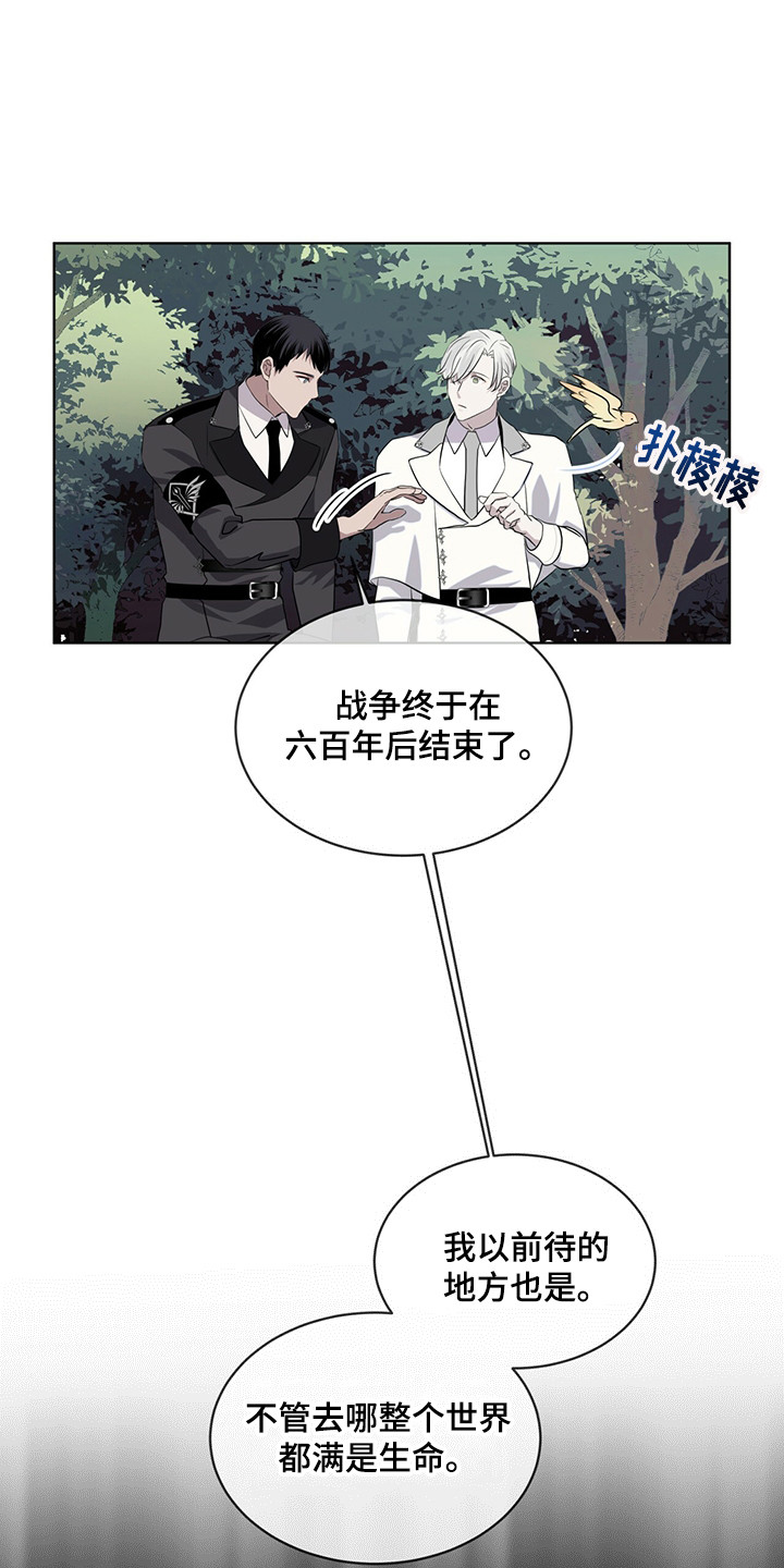 《森海之恋》漫画最新章节第27章：迷茫时期免费下拉式在线观看章节第【14】张图片