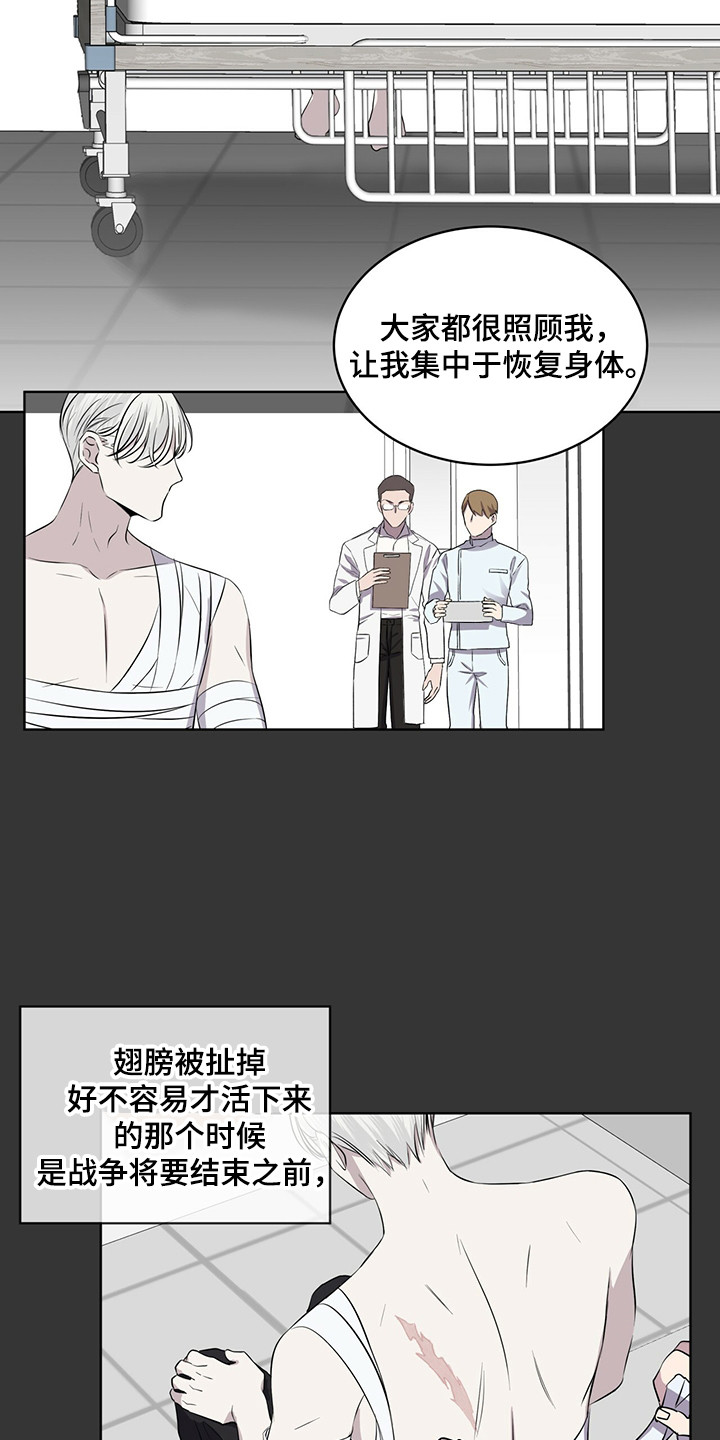 《森海之恋》漫画最新章节第27章：迷茫时期免费下拉式在线观看章节第【11】张图片