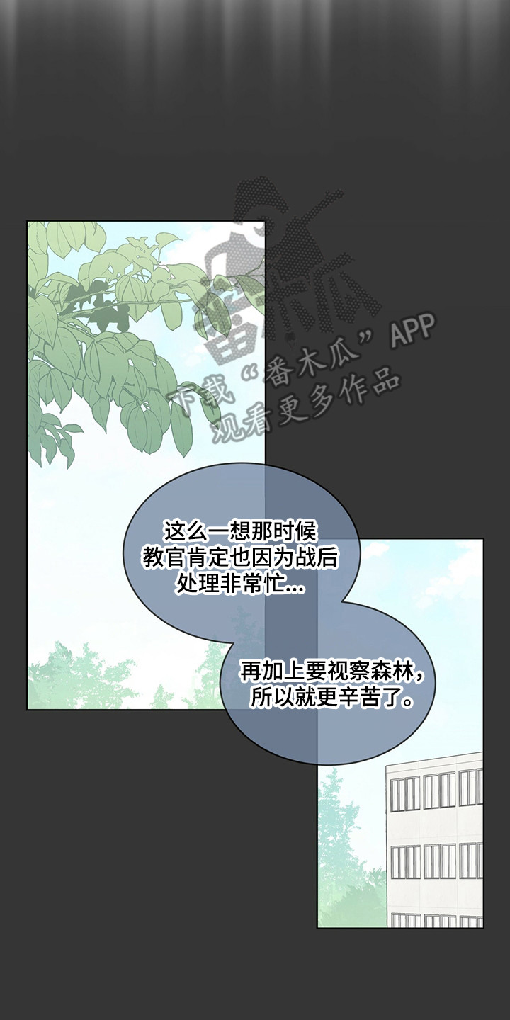 《森海之恋》漫画最新章节第27章：迷茫时期免费下拉式在线观看章节第【13】张图片