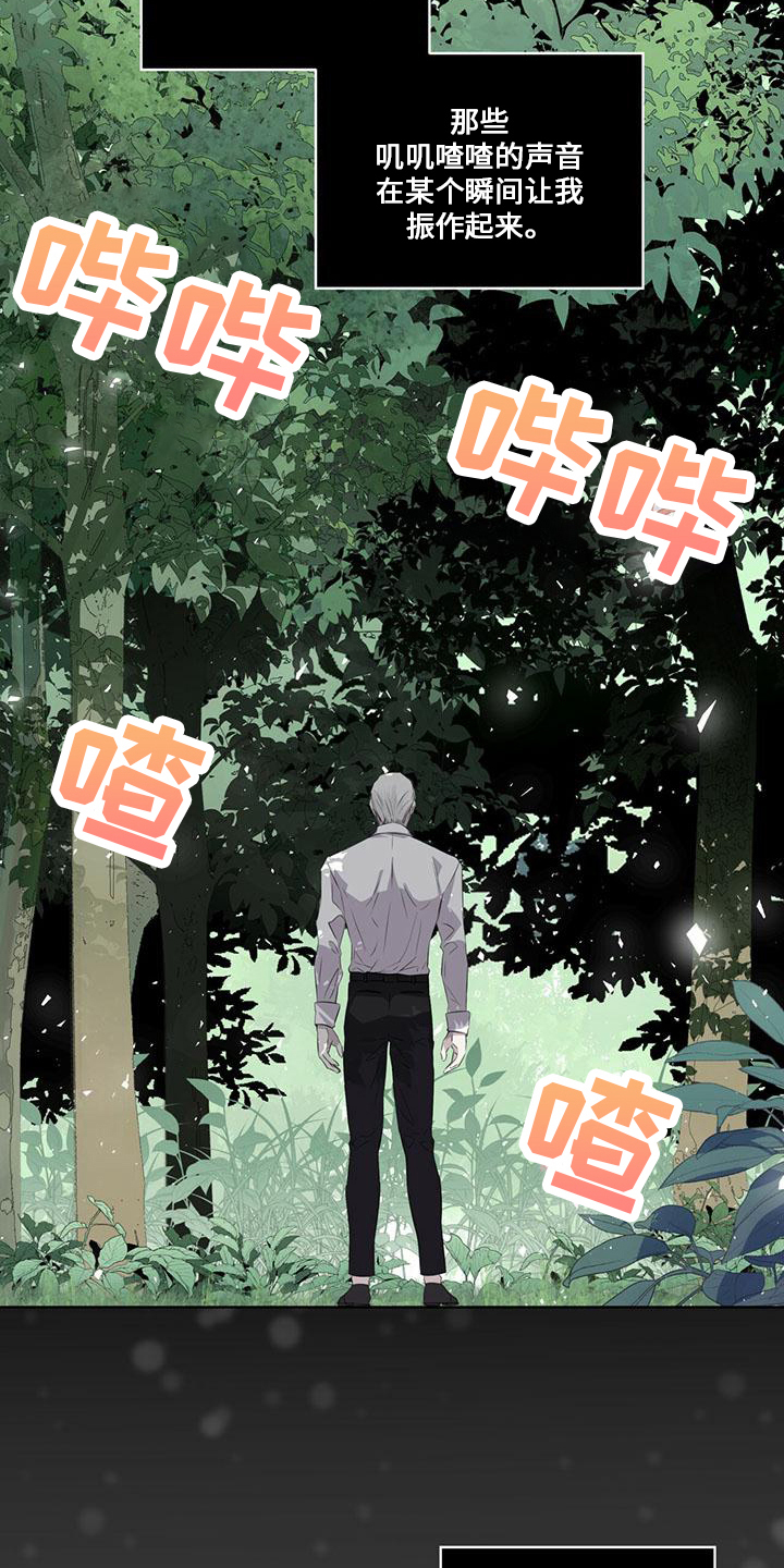 《森海之恋》漫画最新章节第28章：太过分免费下拉式在线观看章节第【21】张图片