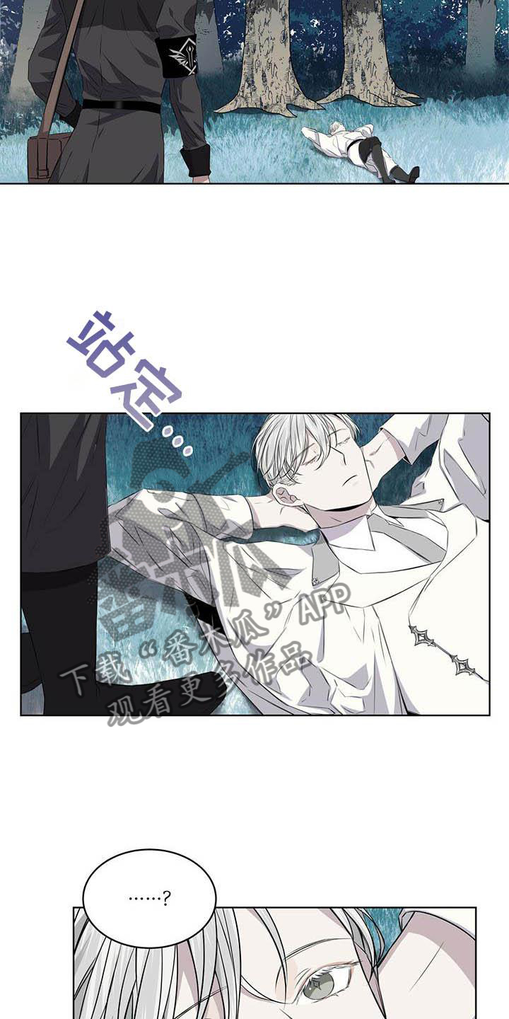 《森海之恋》漫画最新章节第30章：蛇免费下拉式在线观看章节第【21】张图片