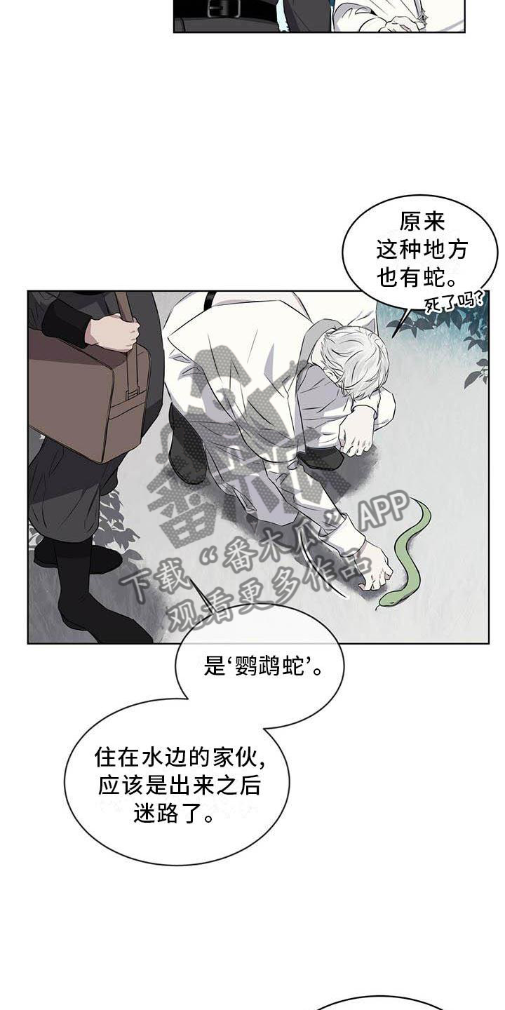 《森海之恋》漫画最新章节第30章：蛇免费下拉式在线观看章节第【11】张图片