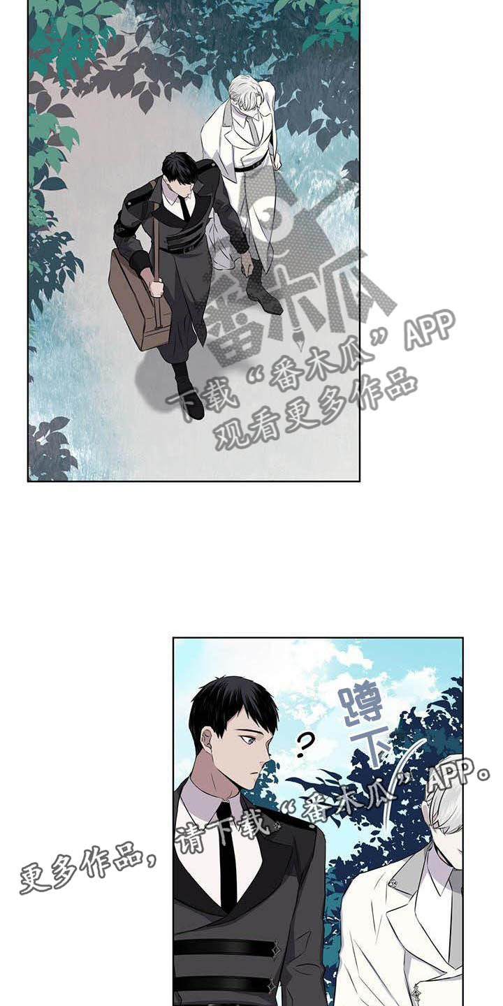 《森海之恋》漫画最新章节第30章：蛇免费下拉式在线观看章节第【12】张图片