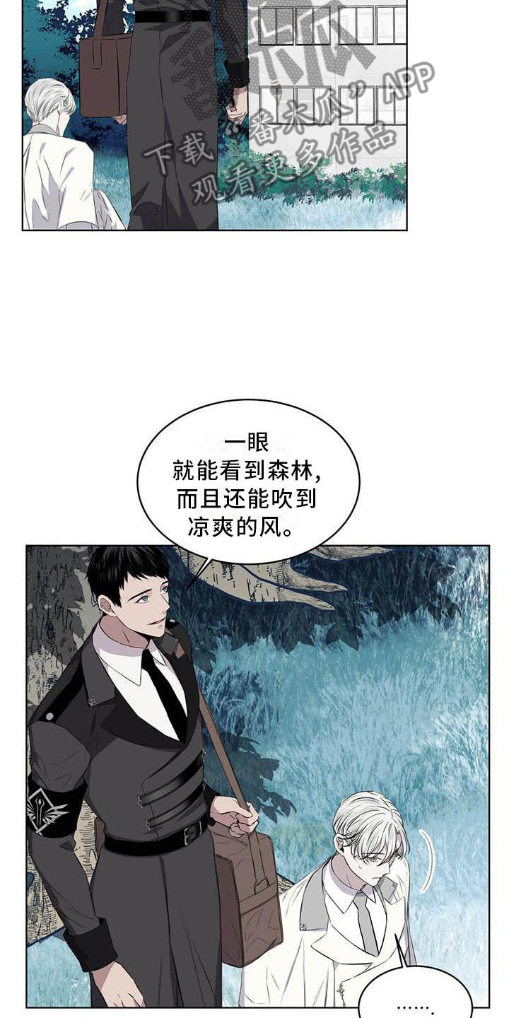 《森海之恋》漫画最新章节第30章：蛇免费下拉式在线观看章节第【18】张图片