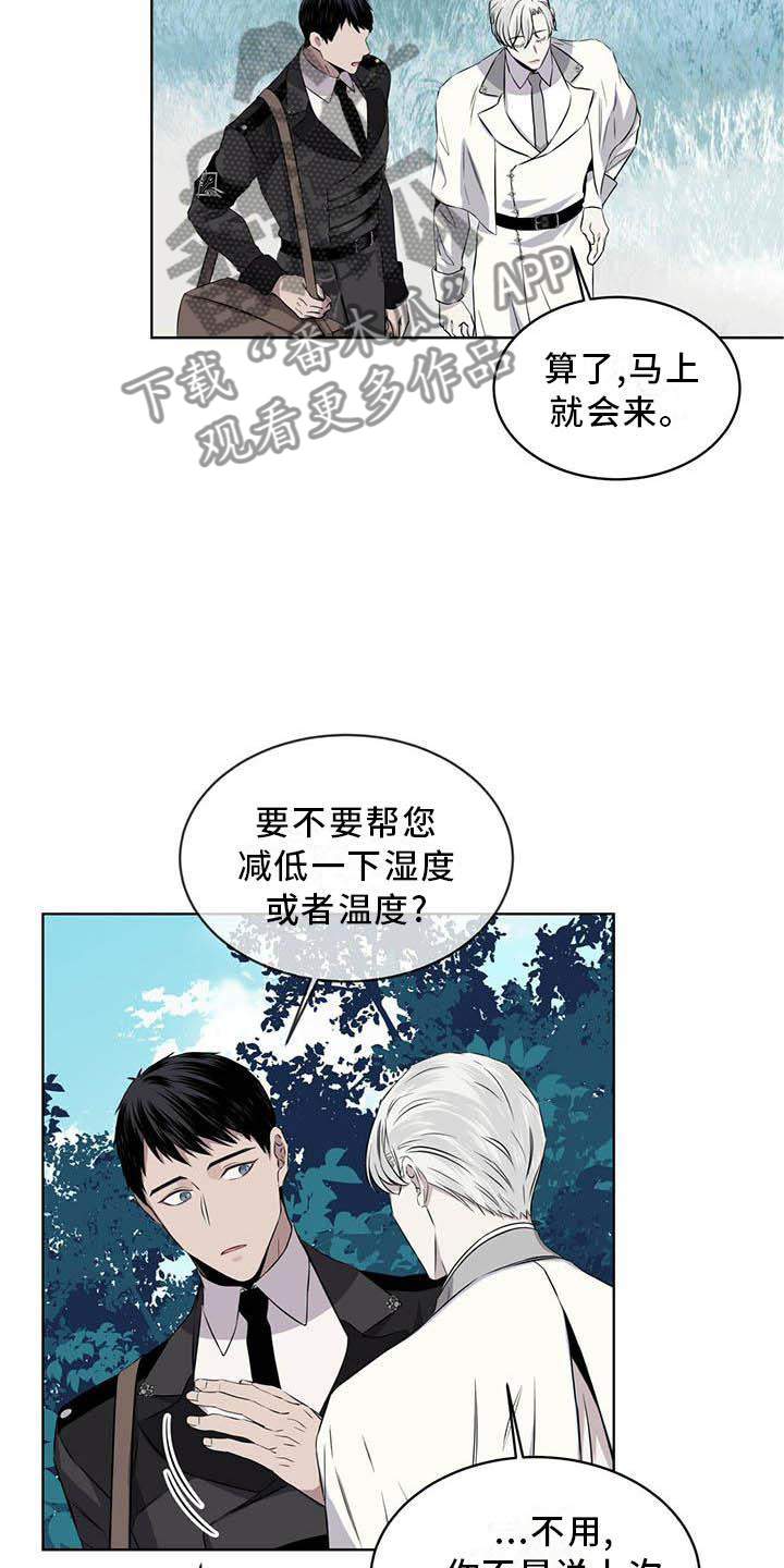 《森海之恋》漫画最新章节第31章：味道免费下拉式在线观看章节第【23】张图片