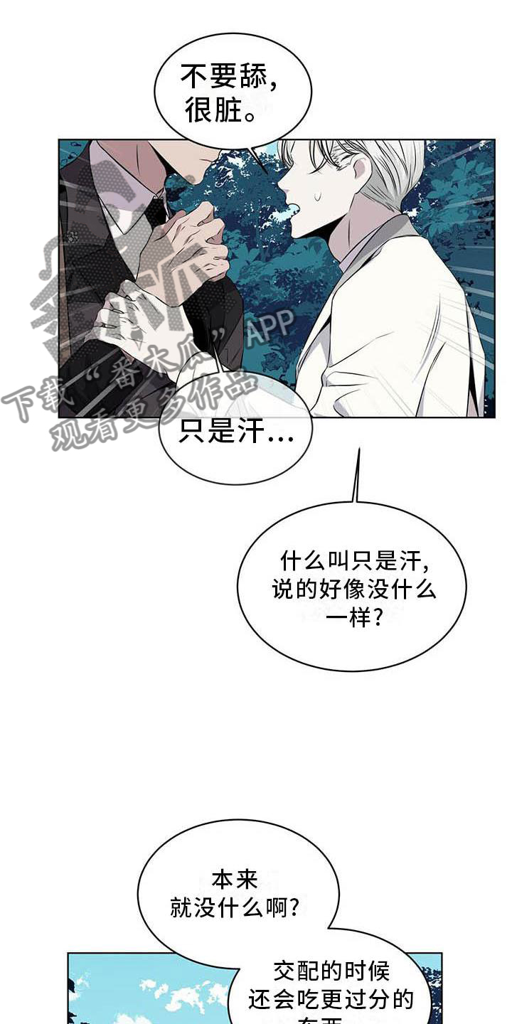 《森海之恋》漫画最新章节第31章：味道免费下拉式在线观看章节第【12】张图片