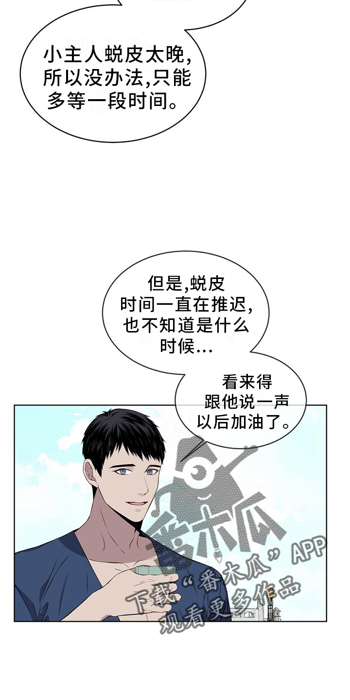 《森海之恋》漫画最新章节第32章：差不多免费下拉式在线观看章节第【15】张图片